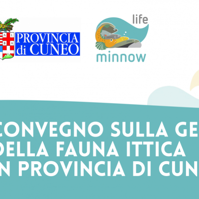 immagine locandina convegno immagine locandina convegno