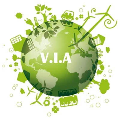 Le fasi della V.i.a. Le fasi della V.i.a.